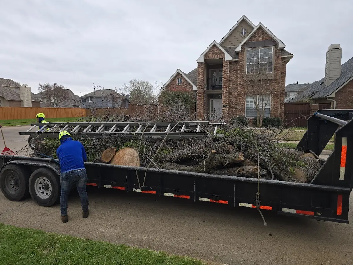 Expert Lot Clearing with proper safety equipment in Boswell